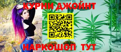 крисы Малгобек
