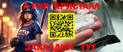 крисы Малгобек